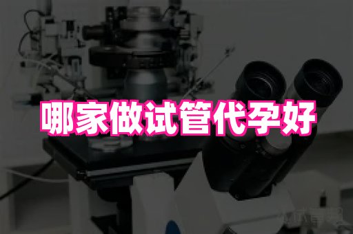 成都助孕网站 1