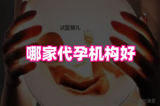 成都助孕网站 2