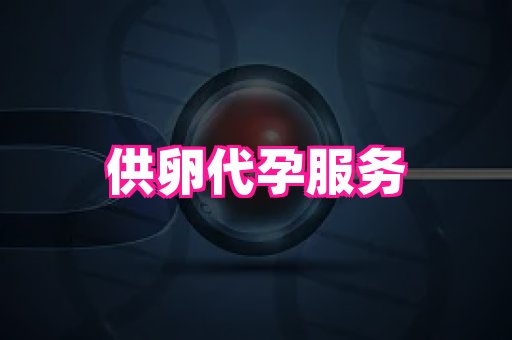 成都助孕网站 3