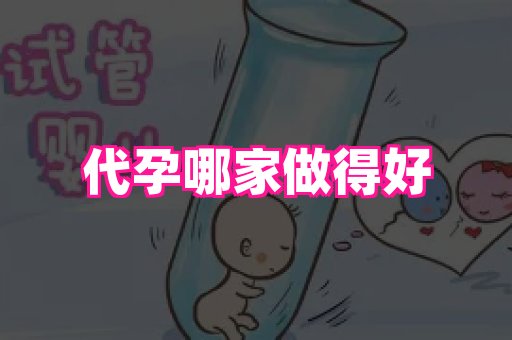 成都助孕网站 4